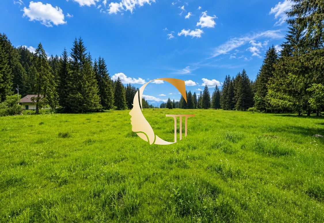 GODDESS PROPERTY – exkluzívne – PREDAJ – INVESTIČNÝ POZEMOK 15 000 m2 SO STAVEBNÝM POVOLENÍM – okolie Liptovský Mikuláš – DÚBRAVA
